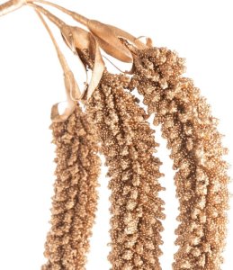 Dekoracja świąteczna Eurofirany GAŁĄZKA ŚWIĄTECZNA DEKORACYJNA 233 ZŁOTY 2