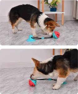 Nuxie Zabawka piłka szarpak z przyssawką 43cm 3