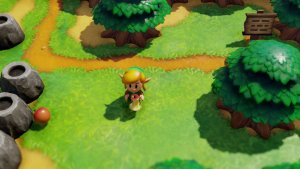 Nintendo Switch The Legend of Zelda: Link´s Awakening 5
