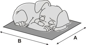 Hobbydog R1 BUDA EKOLEN POPIEL EKOLEN 6