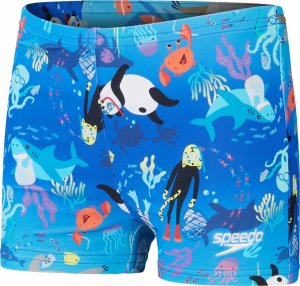 Speedo Dziecięce Kąpielówki LTS ALV ASHT IM 1