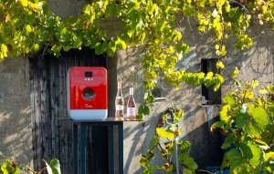 Zmywarka Daan Tech Kompaktowa mini zmywarka stołowa Bob (biało-czerwona) 6