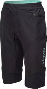 Radvik Męskie Spodenki XRAY SHORTS GTS 1