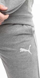 Puma Spodnie męskie Puma Team Goal Casuals szare 658598 33 S 3