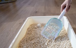 Cheerble Obrotowa szufelka Cheerble 7