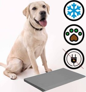 Springos Mata chłodząca żelowa dla psa 65x50 cm legowisko chłodzące dla zwierząt UNIWERSALNY 26