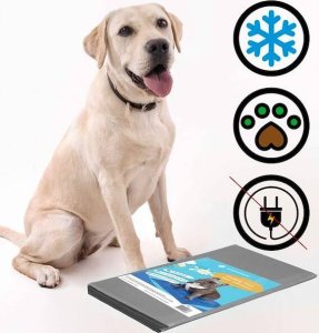 Springos Mata chłodząca żelowa dla psa 65x50 cm legowisko chłodzące dla zwierząt UNIWERSALNY 27