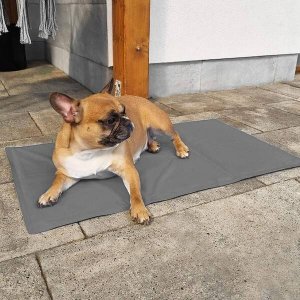 Springos Mata chłodząca żelowa dla psa 65x50 cm legowisko chłodzące dla zwierząt UNIWERSALNY 29