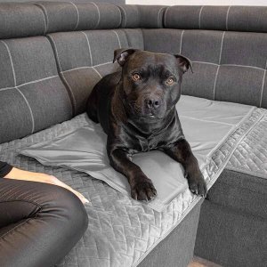 Springos Mata chłodząca żelowa dla psa 65x50 cm legowisko chłodzące dla zwierząt UNIWERSALNY 8