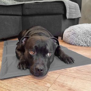 Springos Mata chłodząca żelowa dla psa 65x50 cm legowisko chłodzące dla zwierząt UNIWERSALNY 9
