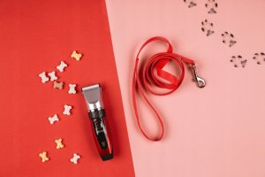 Maszynka do strzyżenia psa Camry Maszynka Do Strzyżenia Psów Zwierząt Camry +Zestaw 6