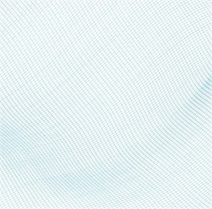 KIK BESTWAY 58277 Siatka zbierak do czyszczenia basenu 12