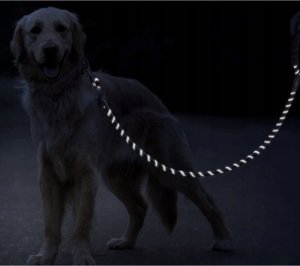 Purlov Smycz treningowa odblaskowa 3m Purlov 21654 6