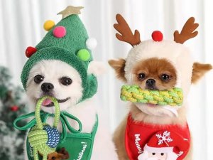 Zegarek Przyjaciele Zabawka dla psa gryzak szarpak sznur mocny długi Zabawka dla psa gryzak szarpak sznur mocny długi 8