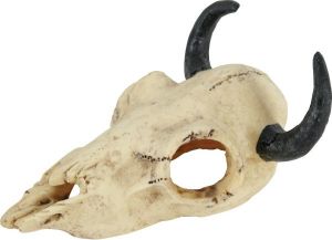 Zolux Dekoracja akw. czaszka dinozaura model 1 1