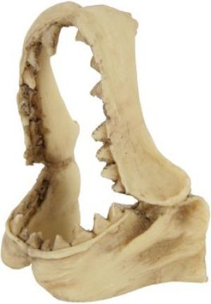 Zolux Dekoracja akw. czaszka dinozaura model 2 1