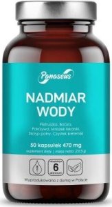 Yango Panaseus Nadmiar wody 50 kapsułek 1