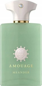 Amouage Amouage, Meander, Eau De Parfum, For Men, 100 ml For Men 1