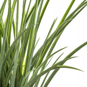 Atmosphera Sztuczna trawa w doniczce, 46 cm 3