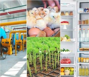 PrzydaSie Regulator Temperatury Cyfrowy Termostat 110C 230V 2