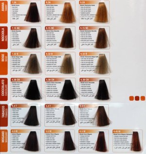 Renee Blanche Haute Coiffure Farba do włosów w kremie 9.03 ( Dawniej 9.03DS ) - bardzo jasny złocisty aksamitny blond 100 ml 4