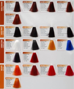 Renee Blanche Haute Coiffure Farba do włosów w kremie 9.03 ( Dawniej 9.03DS ) - bardzo jasny złocisty aksamitny blond 100 ml 6