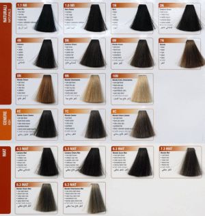 Renee Blanche Haute Coiffure Farba do włosów w kremie 7.0 ( Dawniej 7N ) - blond 100 ml 2