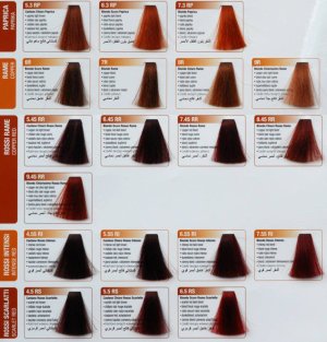 Renee Blanche Haute Coiffure Farba do włosów w kremie 6.3 ( Dawniej 6D ) - ciemny złocisty blond 100 ml 5