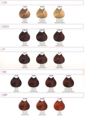 Renee Blanche Bheyse Farba do włosów z olejkiem arganowym i keratyną 6.5RS - kasztanowa czerwień tycjana 100ml 4