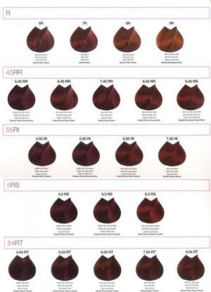 Renee Blanche Bheyse Farba do włosów z olejkiem arganowym i keratyną 6.5RS - kasztanowa czerwień tycjana 100ml 5