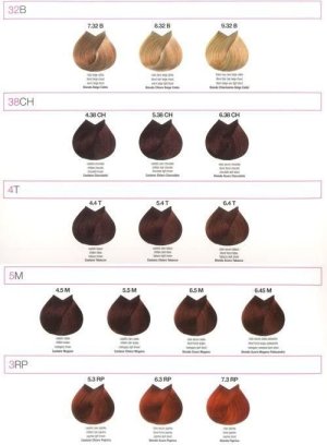 Renee Blanche Bheyse Farba do włosów z olejkiem arganowym i keratyną 6C - popielaty ciemny blond 100ml 4