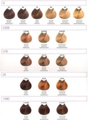 Renee Blanche Bheyse Farba do włosów z olejkiem arganowym i keratyną 8.2A - jasny blond havana 100ml 3