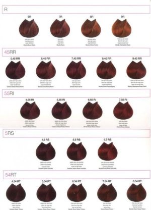 Renee Blanche Bheyse Farba do włosów z olejkiem arganowym i keratyną 8.2A - jasny blond havana 100ml 5