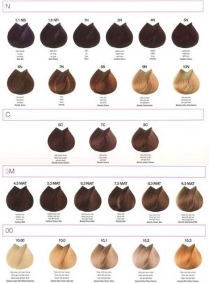 Renee Blanche Bheyse Farba do włosów z olejkiem arganowym i keratyną 9.15N jasny piwny blond 100ml 2