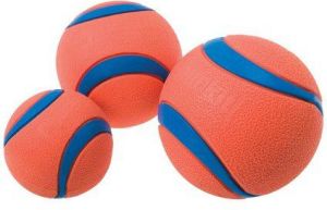 Chuckit! Ultra Ball Large 2