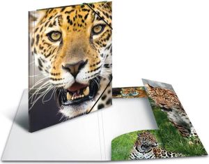 Herma Teczka A3 Leopard (7142) 2