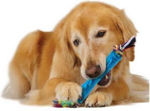 Petstages Orka Rurka z supłami 2