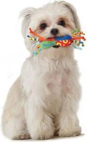 Petstages Mini Starter Zestaw Szczeniak 2