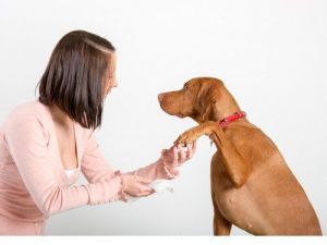 PET HEAD Paw & Body Wipes chusteczki do pielęgnacji 50szt 3