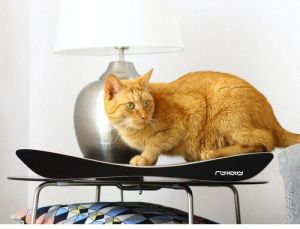 MyKotty Drapak Tobi czarny 2