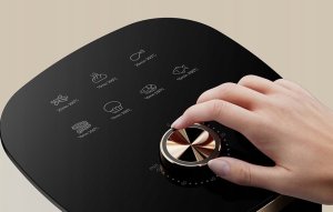 Frytkownica beztłuszczowa Deerma Frytkownica beztłuszczowa Deerma  DEM-KZ30W 8