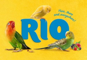 Rio Pokarm dla dużych papug 1kg 4