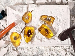 Jokomisiada Wykopaliska skamieliny owadów bursztyny zestaw archeologa ZA4725 3