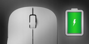 Mysz Endgame Gear Endgame Gear XM2w 4k Wireless Gaming Maus, kabellos - White Frost 10