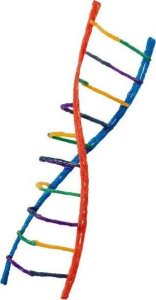 Scratch Zestaw kreatywnych sznureczków Wikki Stix - Super długie 6