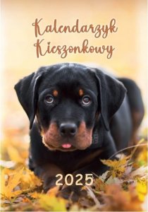 Artsezon Kalendarz kieszonkowy 2025 książkowy  64 strony 7,5x10,5cm 1