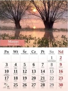 Artsezon Kalendarz wieloplanszowy Impresje wody 2025 Rozkład miesięczny B4 23x31cm 2