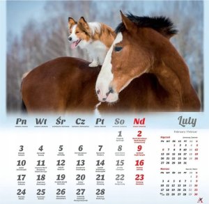 Artsezon Kalendarz wieloplanszowy Przyjaciele 2025 Rozkład miesięczny 33x33cm 2