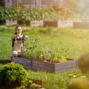 Kadax KADAX Warzywniak Podwyższona Grządka Skrzynia Ogrodowa Rabata Antracyt 150x75cm 12