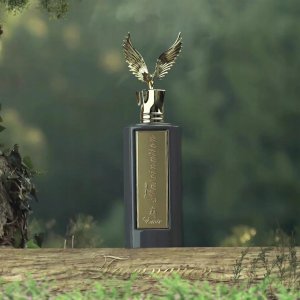 EMIR Emir Fascination EDP U 100 ml 5